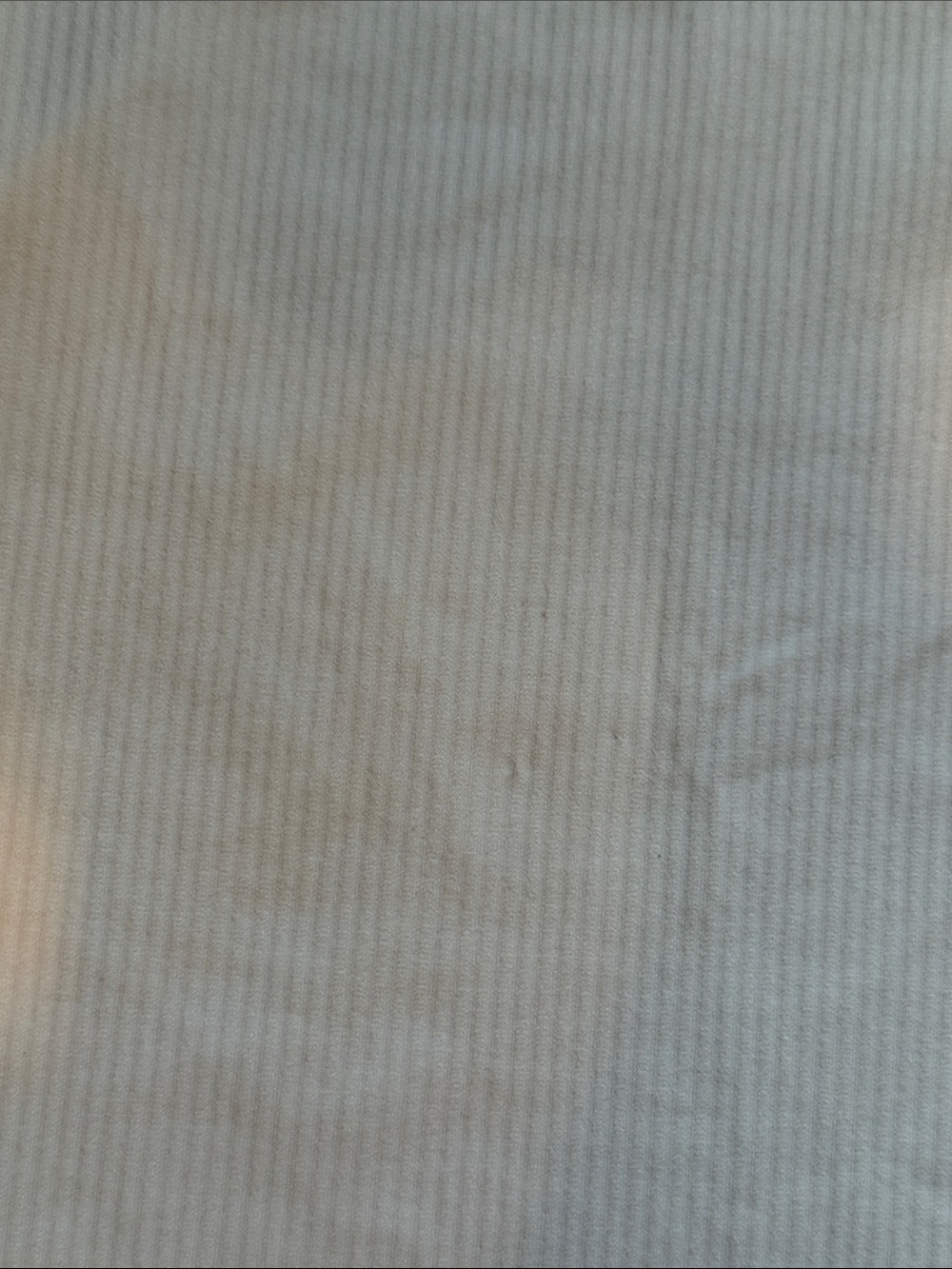 Women’s Ribbed Cream Tank Top - Picture 5 of 6